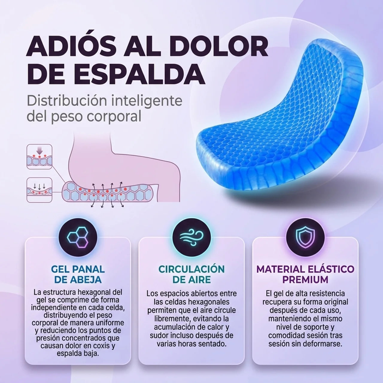 Texto alternativo de imagen