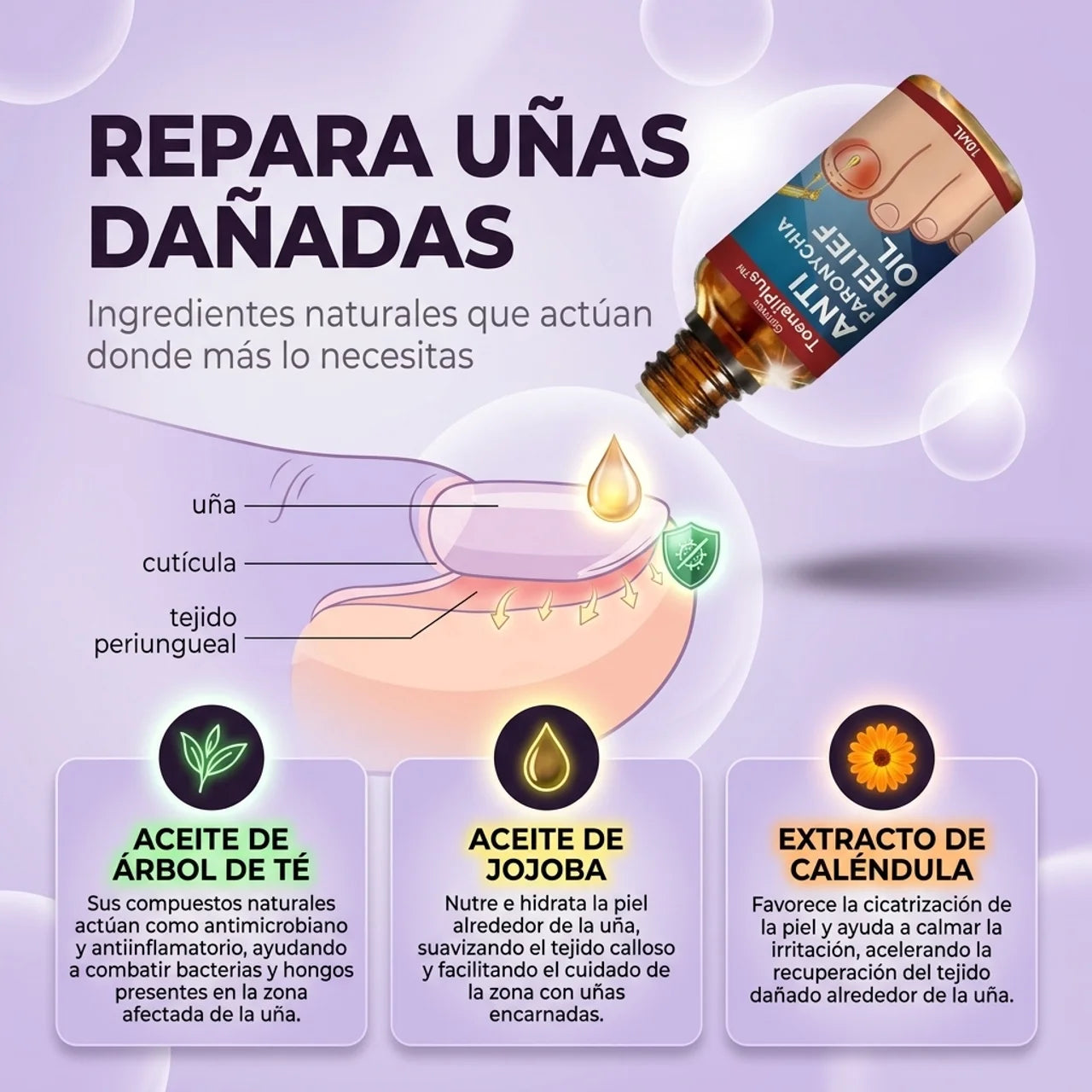 Texto alternativo de imagen