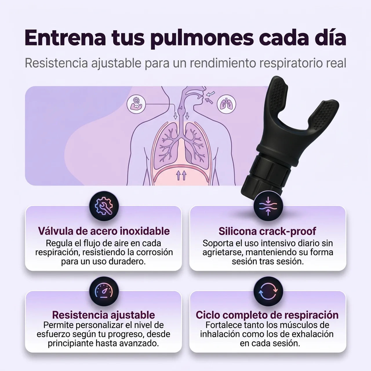 Texto alternativo de imagen